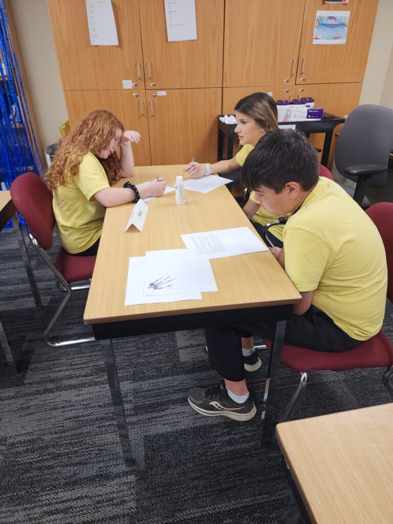 Project Kesher featured as 13WHAM Bright Spot.