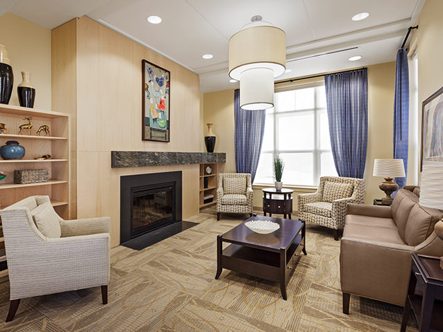 Bright, modern living room with a fireplace and stone mantel, light wood paneling, patterned area rug, and neutral furniture including a sofa, armchairs, and a coffee table; built-in shelves with decorative items, blue curtains framing a large window, and a pendant ceiling light.